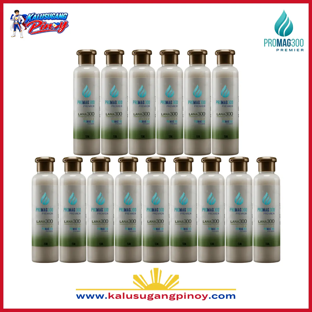 Promag 300 Premier Executive Wellness Package B featuring Promag 300 wellness products