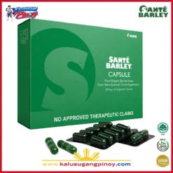 Kalusugang Pinoy Santé Barley Capsule Organic Barley Grass Supplement